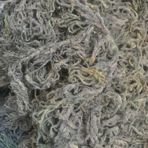 Green Sea Moss / St. Lucian Raw Wildcrafted