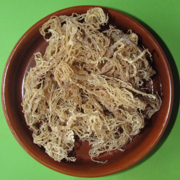 Sea Moss Gel Wildcrafted Golden or Purple