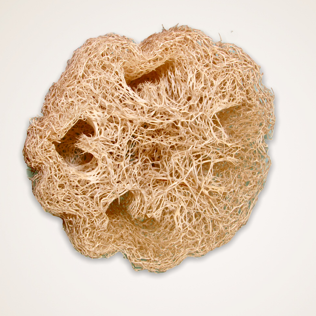 Loofah Eco Friendly Bath Sponge
