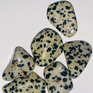 Dalmatian Stone Crystal