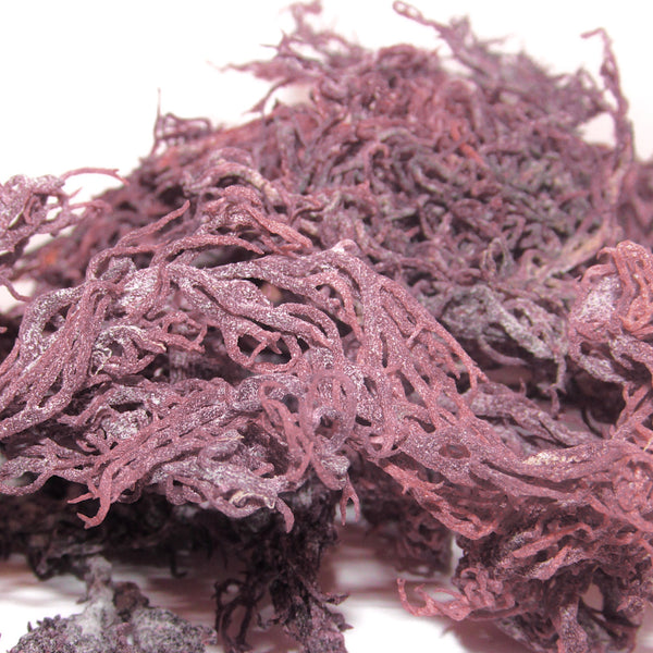 Purple Sea Moss / St. Lucian Raw Wildcrafted Moss