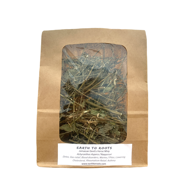 Jamaican Devil’s Horse Whip Herb Tea